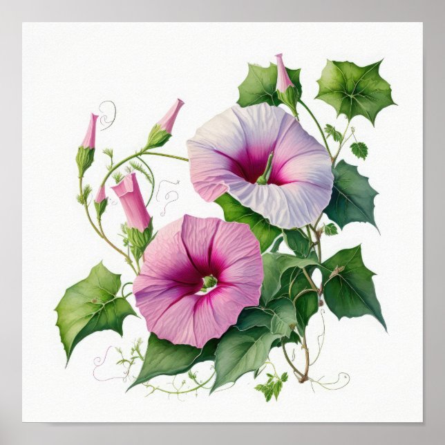 Poster de impresión de arte con flores de gloria d (Frente)