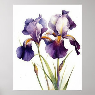 Poster de impresión de arte con flores de iris mor