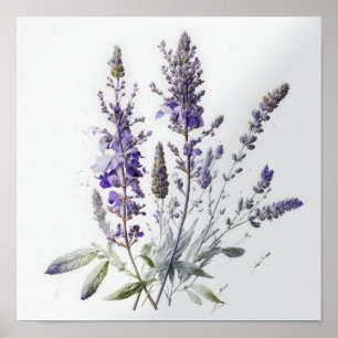 Poster de impresión de arte con flores de lavanda