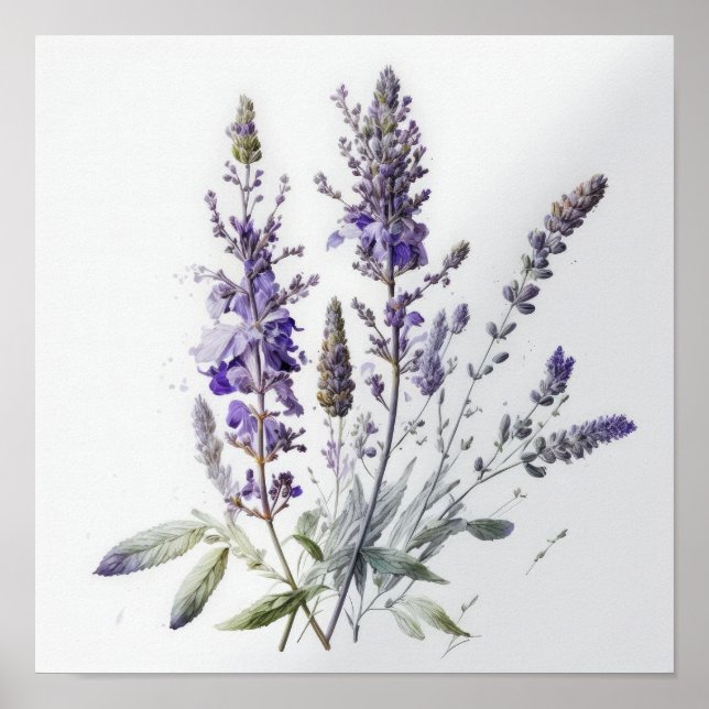 Poster de impresión de arte con flores de lavanda  (Frente)