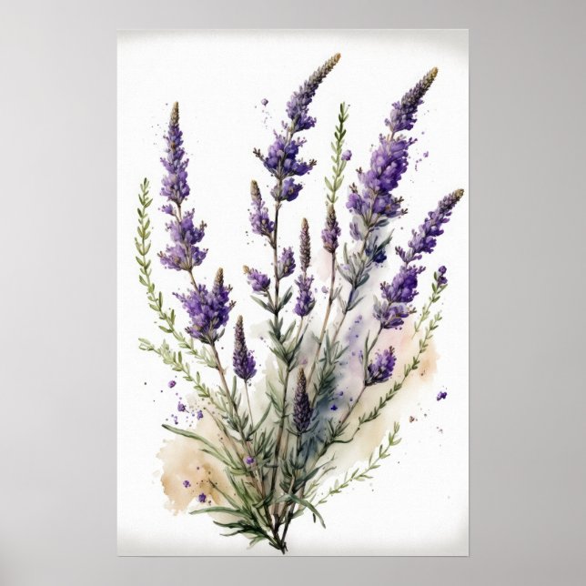 Poster de impresión de arte con flores de lavanda (Frente)