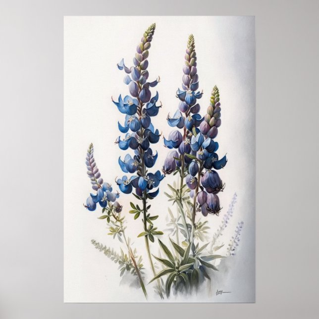Poster de impresión de arte con flores de lupa azu (Frente)