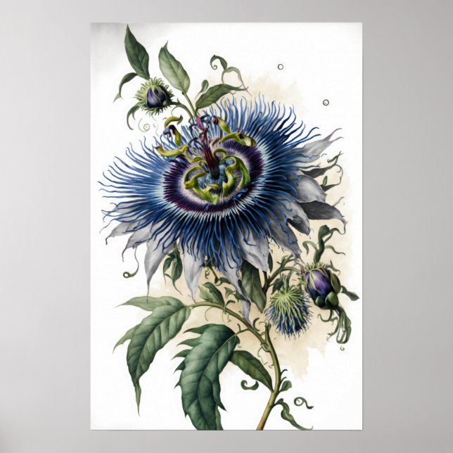 Poster de impresión de arte con flores de pasión a (Frente)