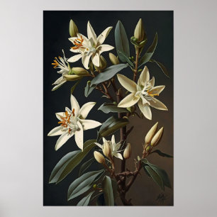Poster de impresión de arte con flores de vainilla