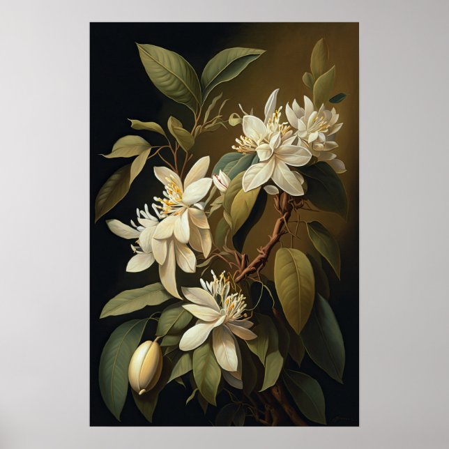 Poster de impresión de arte con flores de vainilla (Frente)