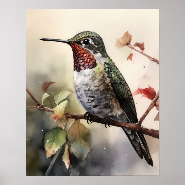 Poster de impresión de arte de aves Hummingbird de (Frente)