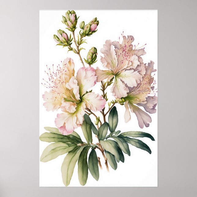 Poster de impresión de arte de Azalea blanca (Frente)