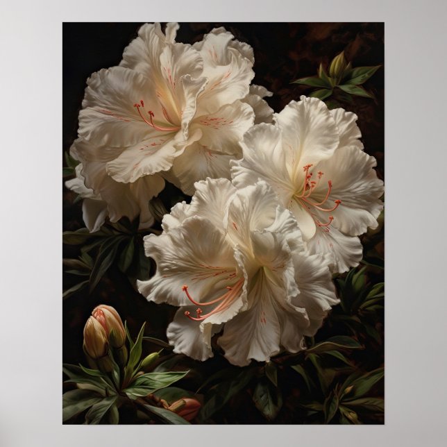 Poster de impresión de arte de Azalea blanca (Frente)
