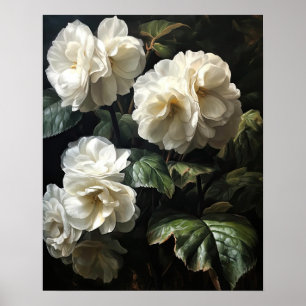 Poster de impresión de arte de Begonia blanca