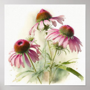 Poster de impresión de arte de Coneflowers rosas