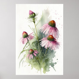 Poster de impresión de arte de Coneflowers rosas