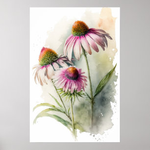 Poster de impresión de arte de Coneflowers rosas