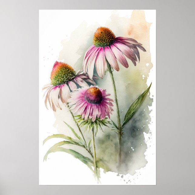 Poster de impresión de arte de Coneflowers rosas (Frente)