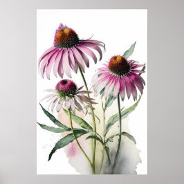Poster de impresión de arte de Coneflowers rosas