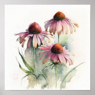 Poster de impresión de arte de Coneflowers rosas