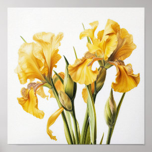 Poster de impresión de arte de flor amarillo irlan