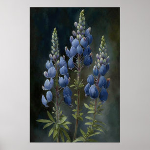 Poster de impresión de arte de flor azul Lupine