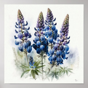 Poster de impresión de arte de flor azul Lupine