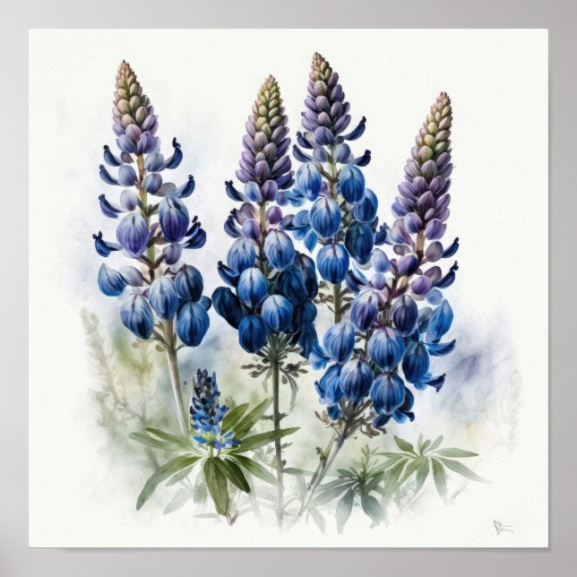 Poster de impresión de arte de flor azul Lupine (Frente)