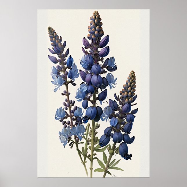 Poster de impresión de arte de flor azul Lupine (Frente)