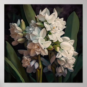Poster de impresión de arte de flor blanca Hyacini