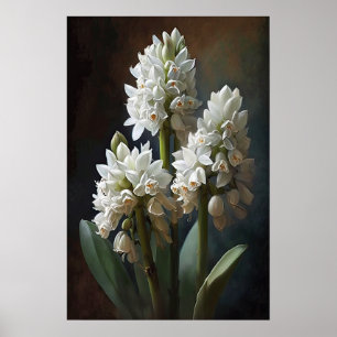 Poster de impresión de arte de flor blanca Hyacini