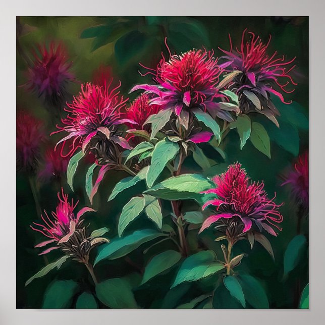 Poster de impresión de arte de flor de Bee Balm ro (Frente)