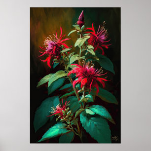 Poster de impresión de arte de flor de Bee Balm ro