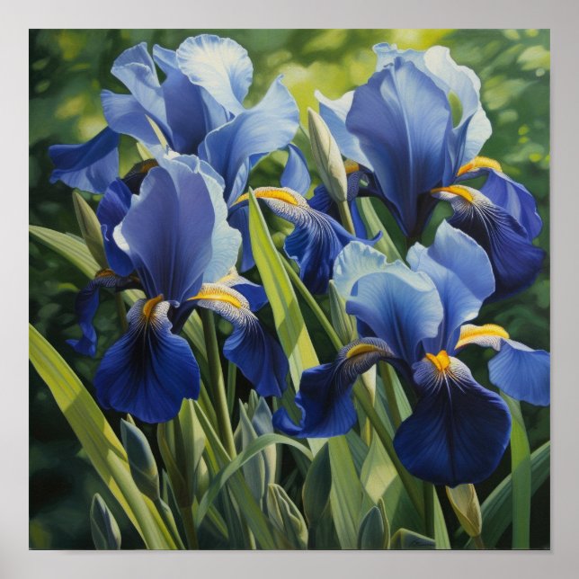 Poster de impresión de arte de flor de iris azules (Frente)