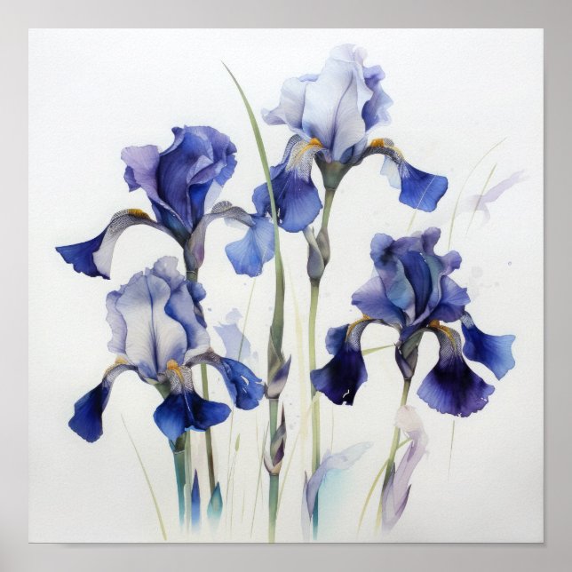 Poster de impresión de arte de flor de iris azules (Frente)