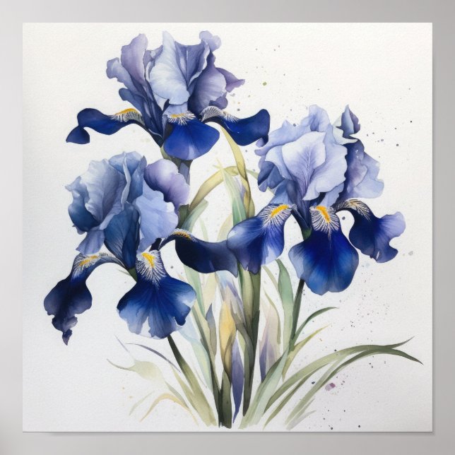 Poster de impresión de arte de flor de iris azules (Frente)
