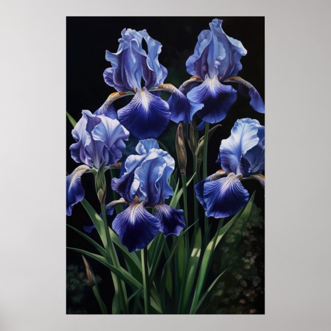 Poster de impresión de arte de flor de iris azules (Frente)