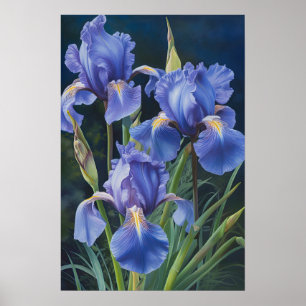 Poster de impresión de arte de flor de iris azules