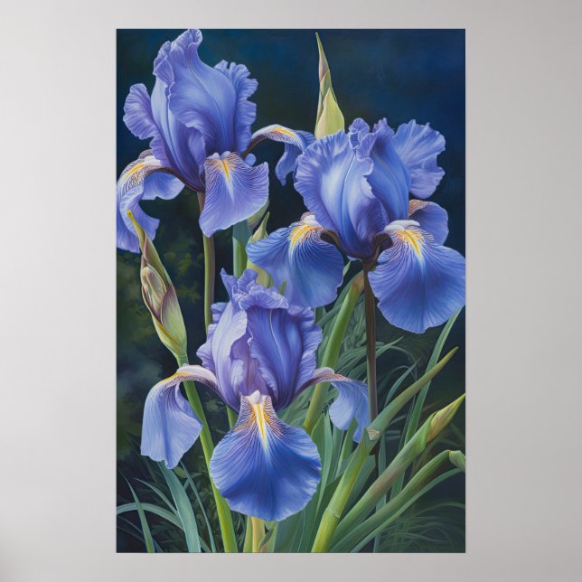 Poster de impresión de arte de flor de iris azules (Frente)