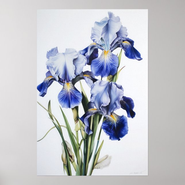 Poster de impresión de arte de flor de iris azules (Frente)