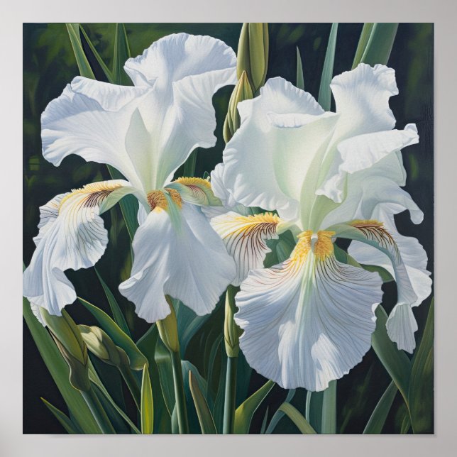 Poster de impresión de arte de flor de iris blanco (Frente)