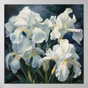 Poster de impresión de arte de flor de iris blanco