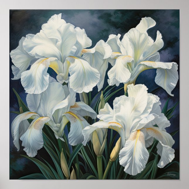 Poster de impresión de arte de flor de iris blanco (Frente)