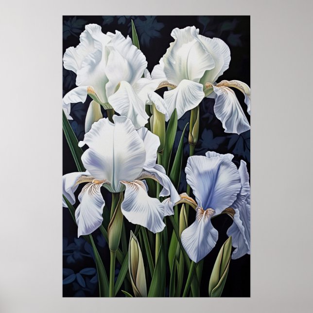 Poster de impresión de arte de flor de iris blanco (Frente)