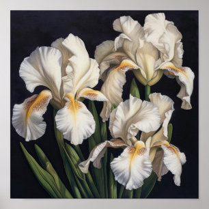 Poster de impresión de arte de flor de iris blanco