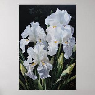 Poster de impresión de arte de flor de iris blanco