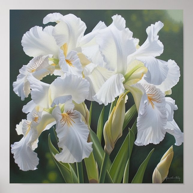 Poster de impresión de arte de flor de iris blanco (Frente)