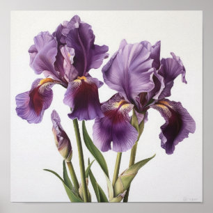 Poster de impresión de arte de flor de iris morado