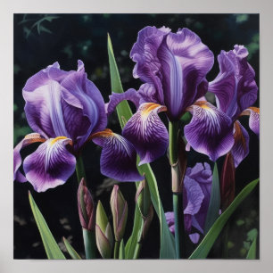 Poster de impresión de arte de flor de iris morado