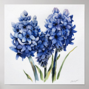 Póster de Impresión de Arte de Flor de Jacinto Azu