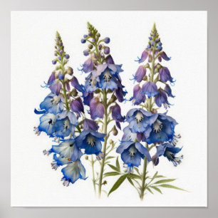 Póster de Impresión de Arte de Flor de Larkspur Az