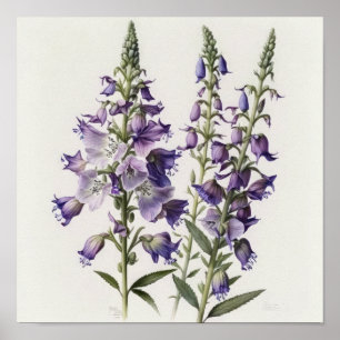 Póster de Impresión de Arte de Flor de Larkspur Pú