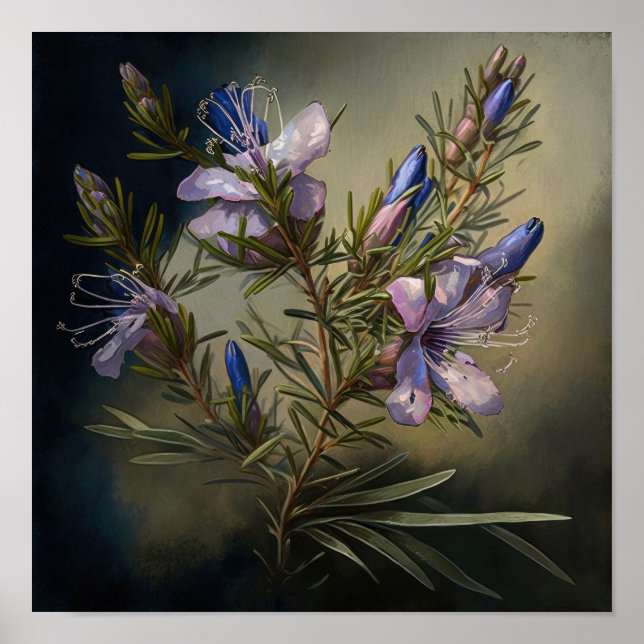 Póster de Impresión de Arte de Flor de Romero (Frente)