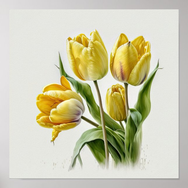 Poster de impresión de arte de flor de tulipanes a (Frente)