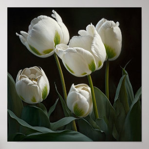 Poster de impresión de arte de flor de tulipanes b
